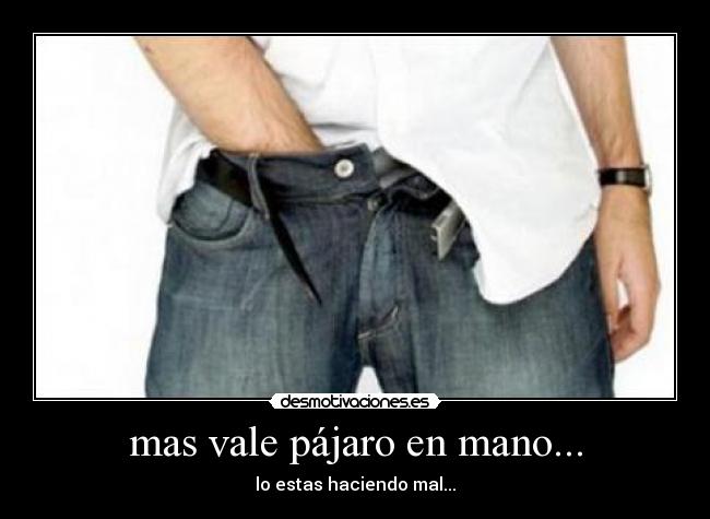 mas vale pájaro en mano... -