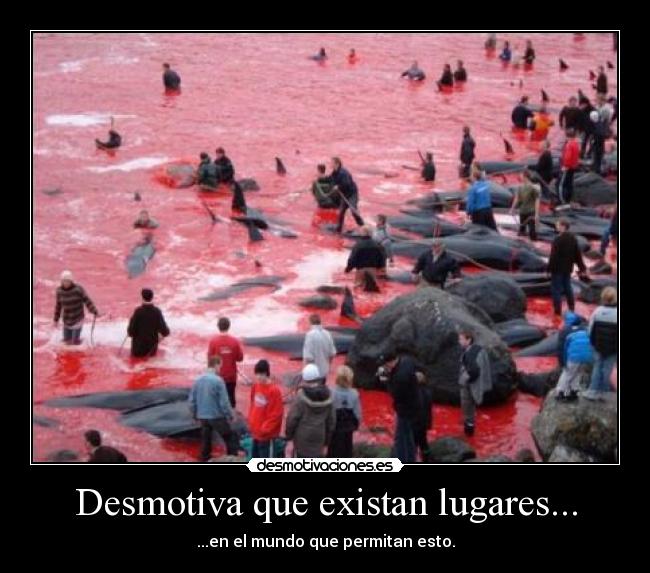 Desmotiva que existan lugares... - ...en el mundo que permitan esto.