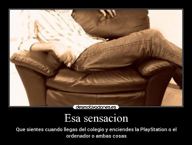 carteles esa sansacion desmotivaciones