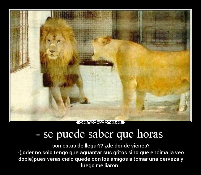 - se puede saber que horas - son estas de llegar?? ¿de donde vienes?
-(joder no solo tengo que aguantar sus gritos sino que encima la veo
doble)pues veras cielo quede con los amigos a tomar una cerveza y
luego me liaron..