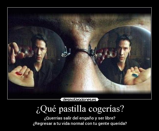 ¿Qué pastilla cogerías? - ¿Querrías salir del engaño y ser libre?
¿Regresar a tu vida normal con tu gente querida?