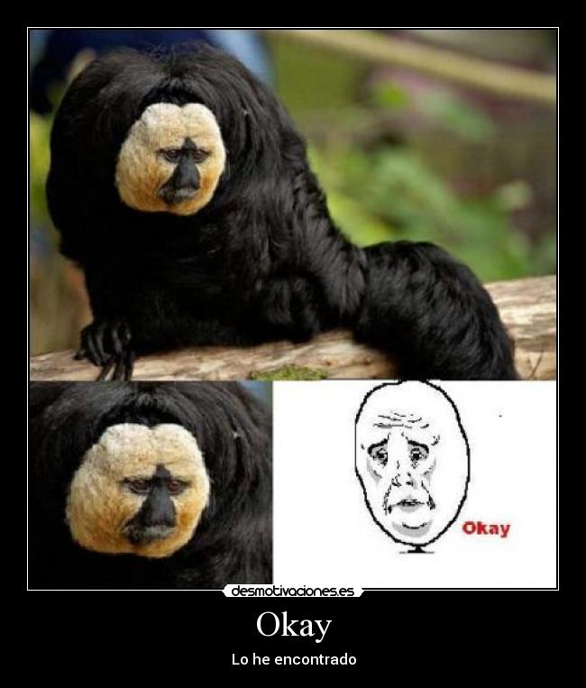 Okay - Lo he encontrado