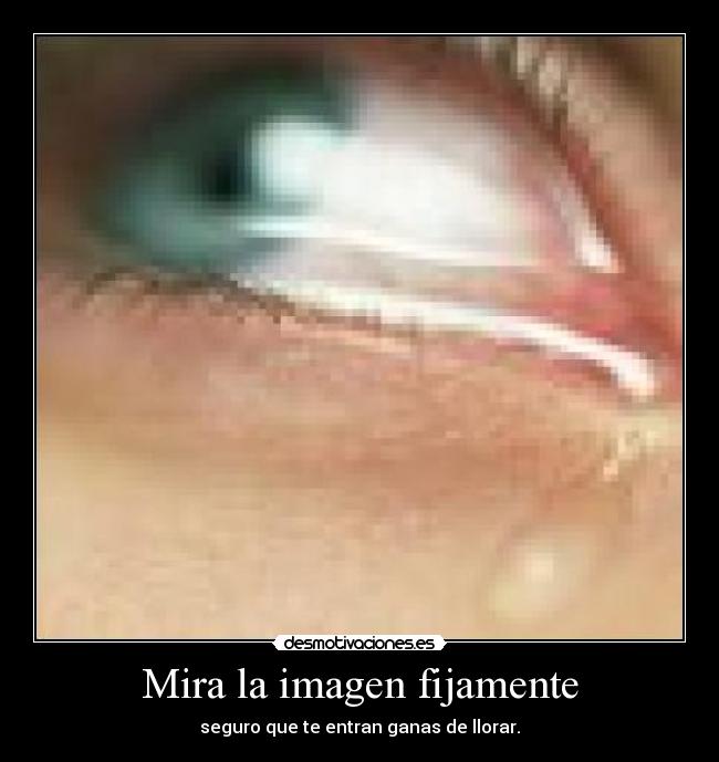 Mira la imagen fijamente -