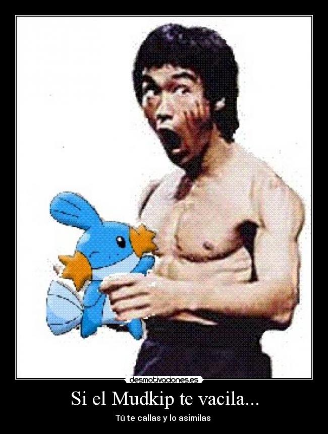 Si el Mudkip te vacila... -