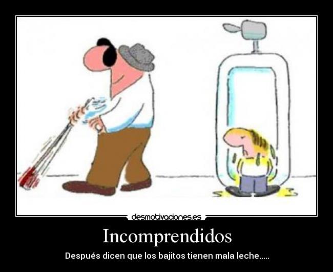 Incomprendidos - 