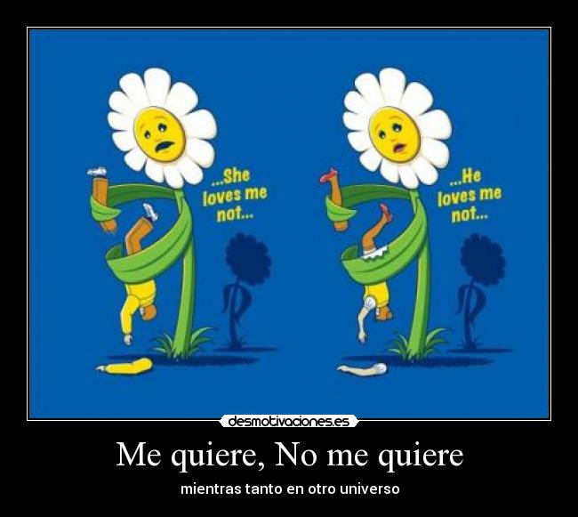 Me quiere, No me quiere - mientras tanto en otro universo
