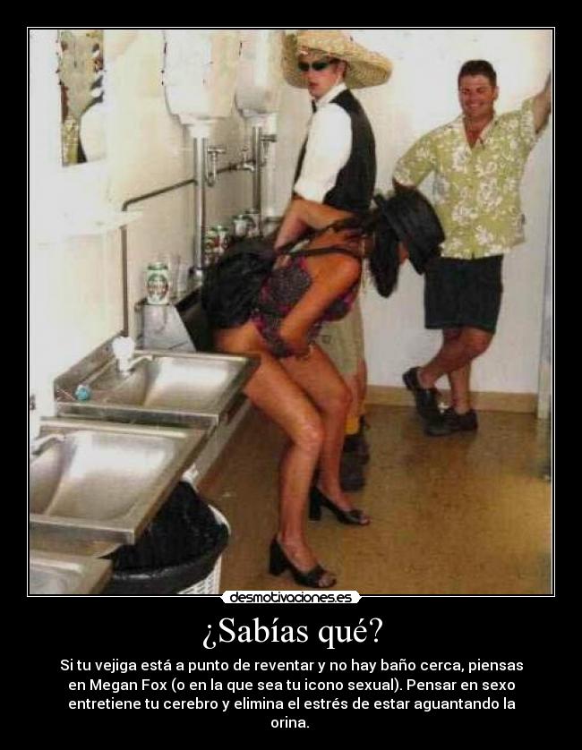 ¿Sabías qué? - Si tu vejiga está a punto de reventar y no hay baño cerca, piensas
en Megan Fox (o en la que sea tu icono sexual). Pensar en sexo
entretiene tu cerebro y elimina el estrés de estar aguantando la
orina.