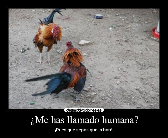 ¿Me has llamado humana? - ¡Pues que sepas que lo haré!