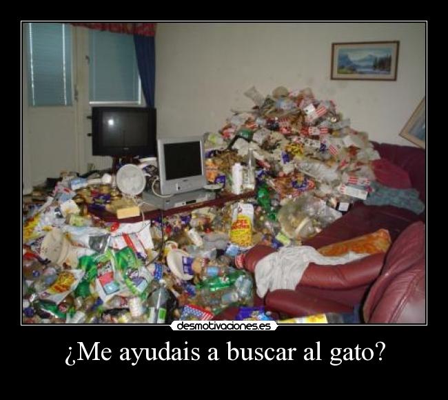 ¿Me ayudais a buscar al gato? -