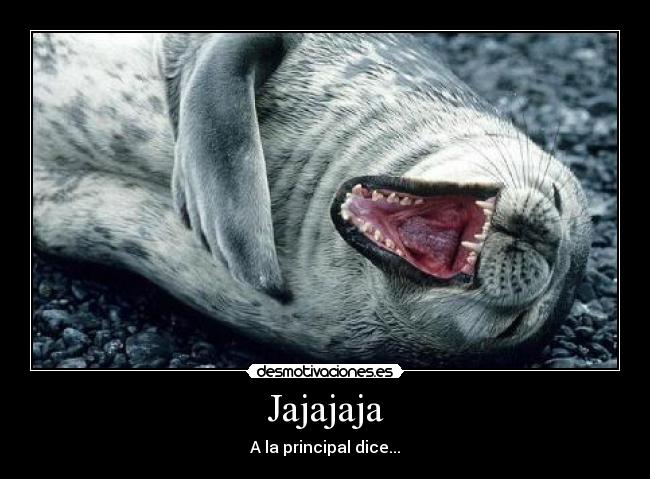 Jajajaja - 