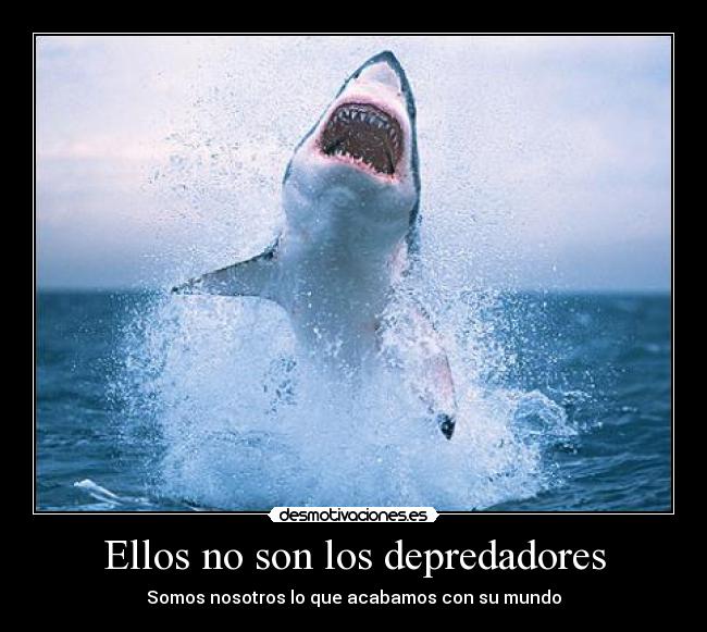 Ellos no son los depredadores - 