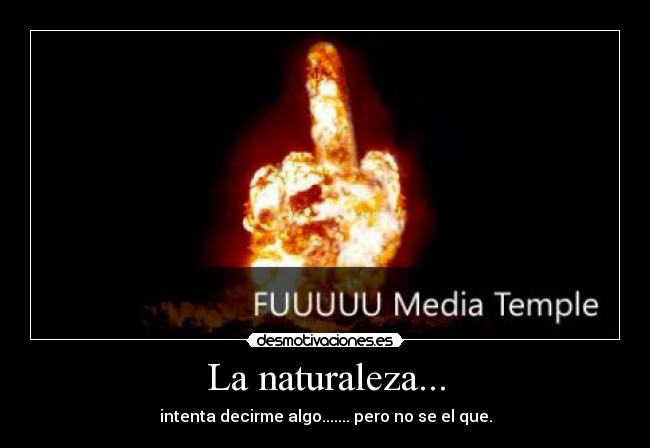 La naturaleza... - intenta decirme algo....... pero no se el que.