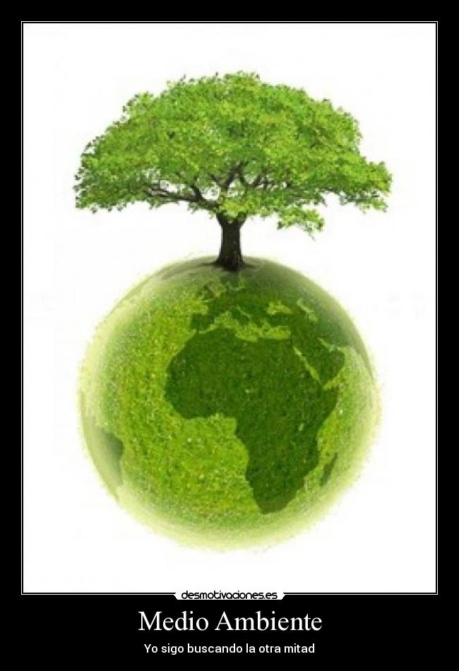 Medio Ambiente - Yo sigo buscando la otra mitad