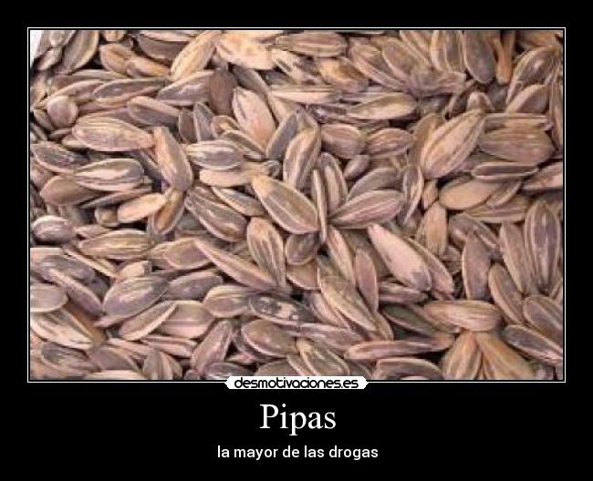 Pipas - la mayor de las drogas