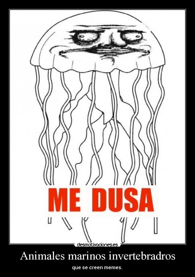 Animales marinos invertebradros - que se creen memes. 