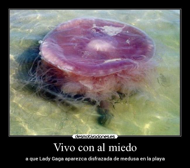 carteles miedo humor desmotivaciones