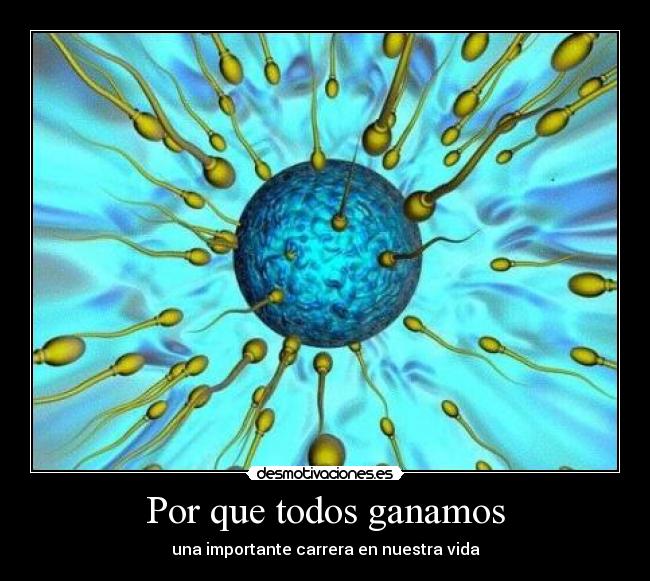 carteles por que todos ganamos desmotivaciones