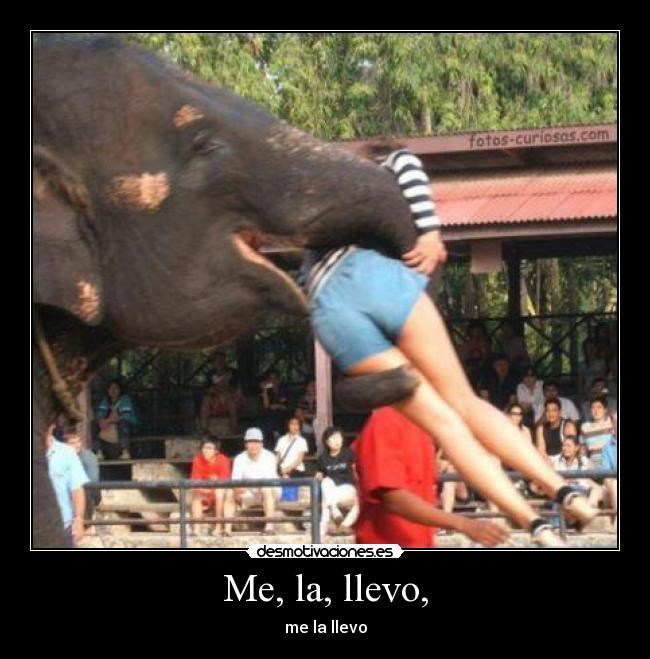 Me, la, llevo, - me la llevo