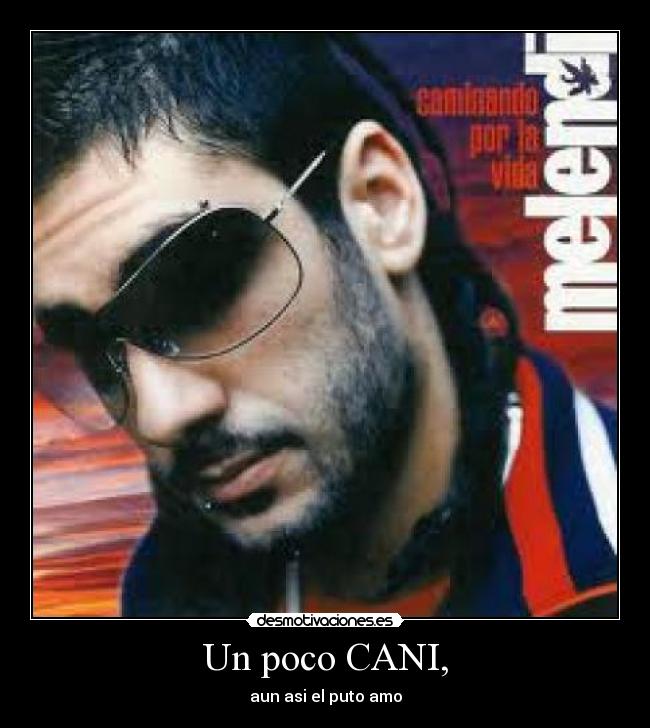 Un poco CANI, - aun asi el puto amo