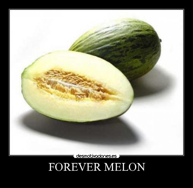 FOREVER MELON -