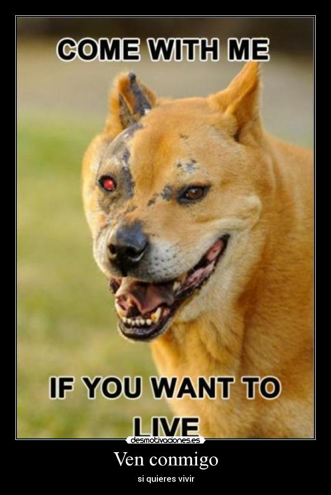 Ven conmigo - si quieres vivir