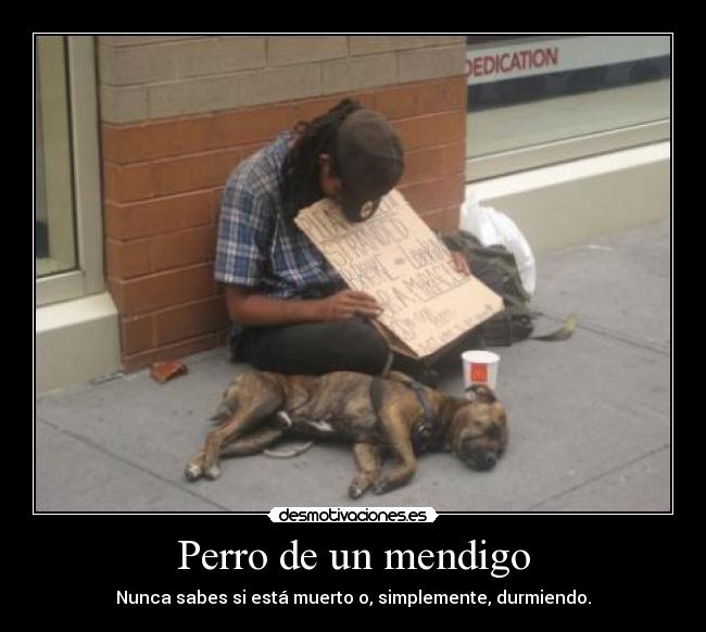 Perro de un mendigo - Nunca sabes si está muerto o, simplemente, durmiendo.