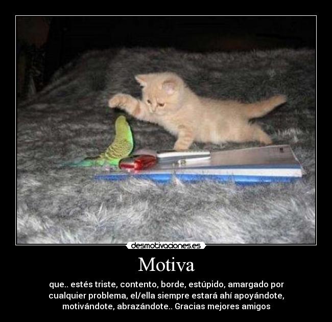 Motiva -