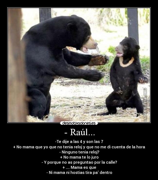 - Raúl... - -Te dije a las 4 y son las 7
+ No mama que yo que no tenia reloj y que no me di cuenta de la hora
- Ninguno tenia reloj?
+ No mama te lo juro
- Y porque no as preguntao por la calle?
+ .... Mama es que
- Ni mama ni hostias tira pa dentro