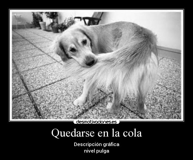 Quedarse en la cola -