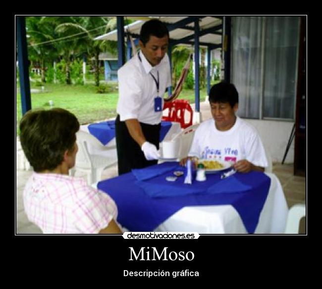 MiMoso - Descripción gráfica