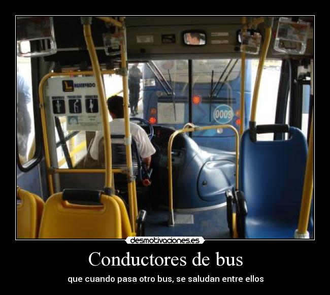 Conductores de bus - 