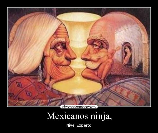 carteles mexicanosexperto desmotivaciones