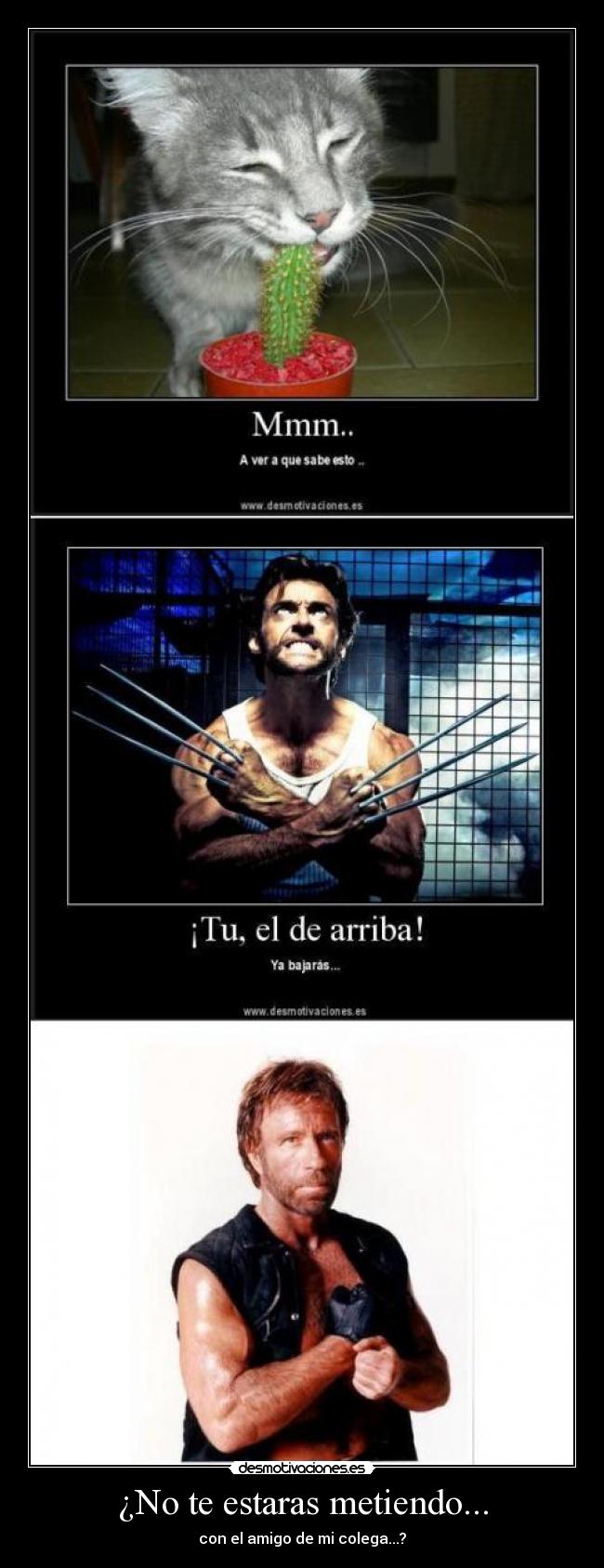 ¿No te estaras metiendo... -