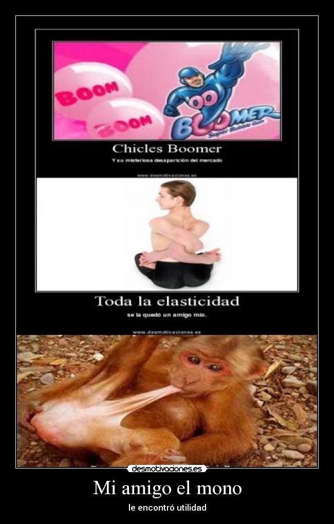 Mi amigo el mono - 