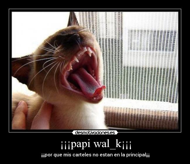 ¡¡¡papi wal_k¡¡¡ -