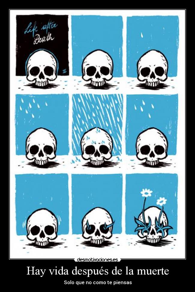 Hay vida después de la muerte - Solo que no como te piensas