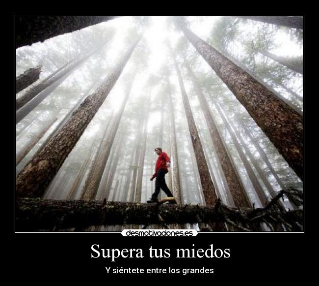 Supera tus miedos -
