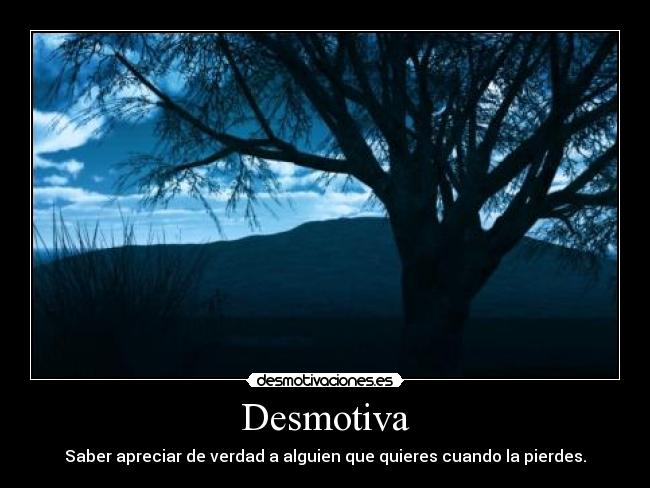 Desmotiva - Saber apreciar de verdad a alguien que quieres cuando la pierdes.
