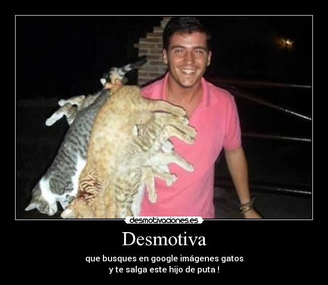 Desmotiva - que busques en google imágenes gatos
y te salga este hijo de puta !