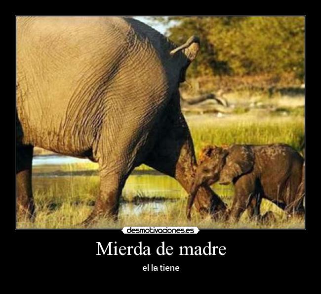 Mierda de madre -