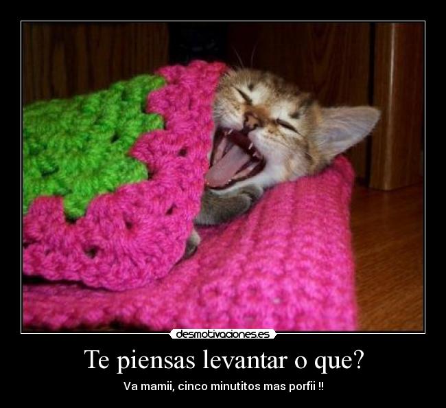 Te piensas levantar o que? - Va mamii, cinco minutitos mas porfii !!