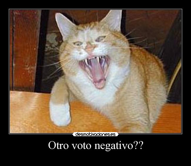 Otro voto negativo?? -