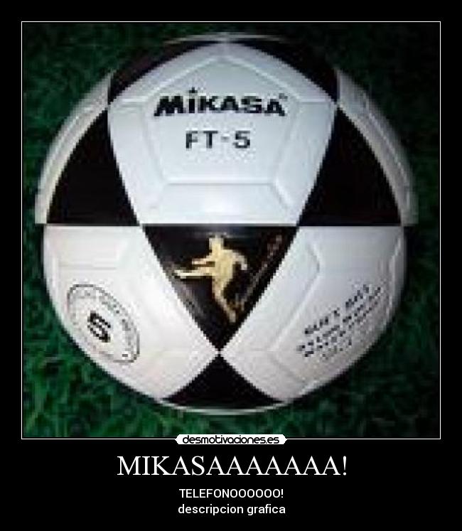 MIKASAAAAAAA! - TELEFONOOOOOO!
descripcion grafica