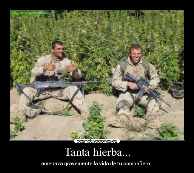 carteles faniac desmotivaciones