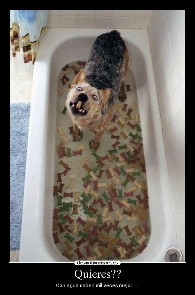 Quieres?? - Con agua saben mil veces mejor ....