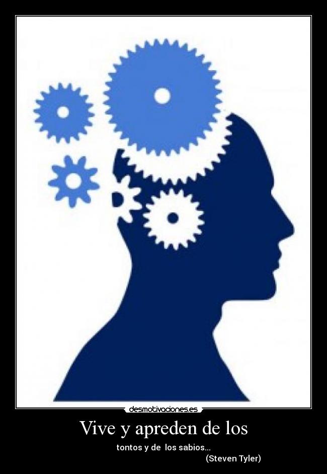 Vive y apreden de los - tontos y de los sabios...
(Steven Tyler)