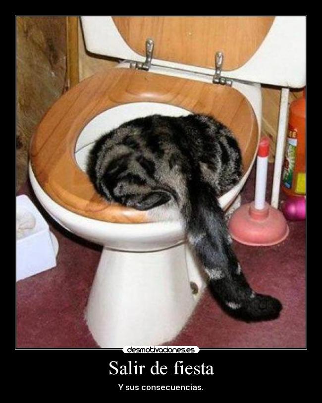 Salir de fiesta -