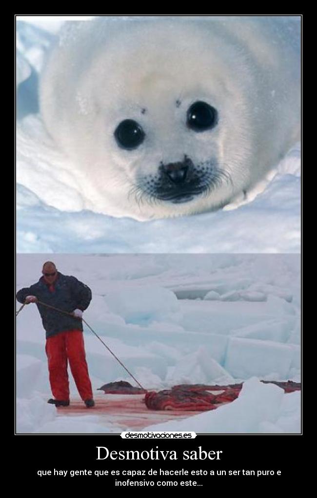 Desmotiva saber - que hay gente que es capaz de hacerle esto a un ser tan puro e inofensivo como este...