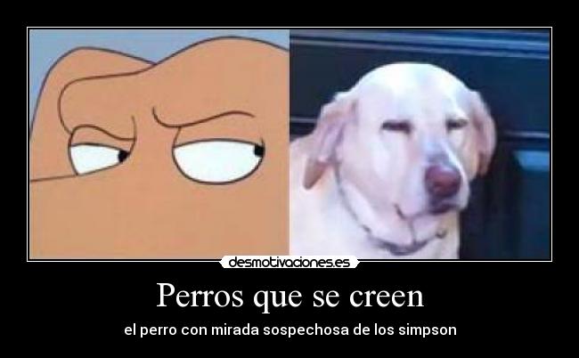 Perros que se creen - el perro con mirada sospechosa de los simpson