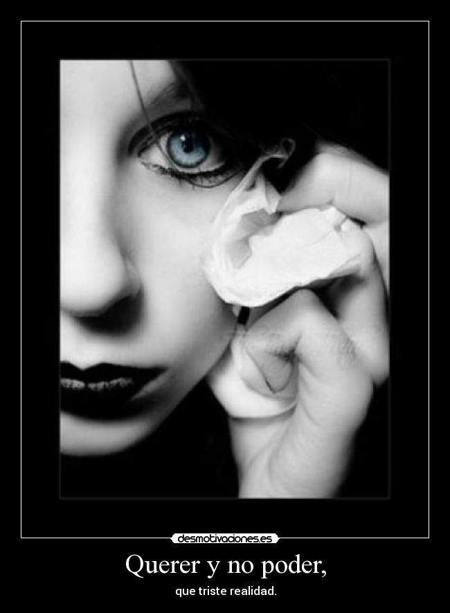carteles querer poder desmotivaciones
